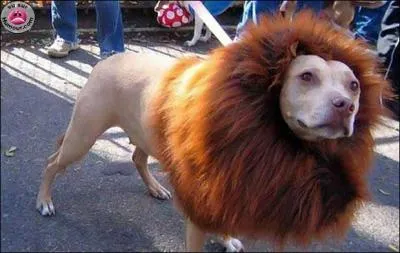 A quel film peut vous faire penser cette photo ?