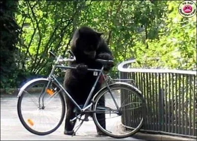 A quel film peut vous faire penser cette photo ?