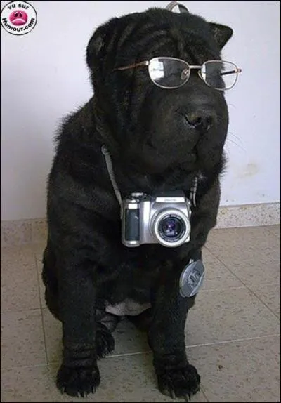 A quel film peut vous faire penser cette photo ?