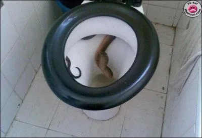 A quel film peut vous faire penser cette photo ?