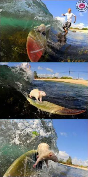 A quel film peut vous faire penser ces photos ?