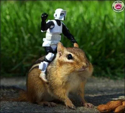 A quel film peut vous faire penser cette photo ?