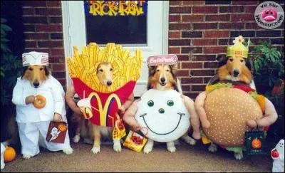 A quel film peut vous faire penser cette photo ?