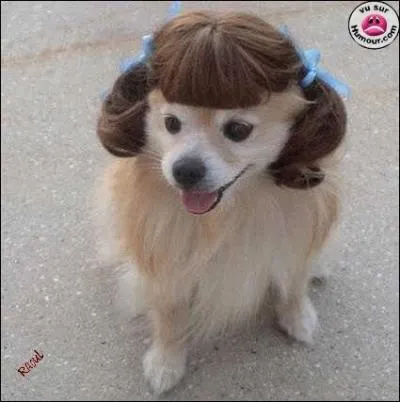 A quel film peut vous faire penser cette photo ?