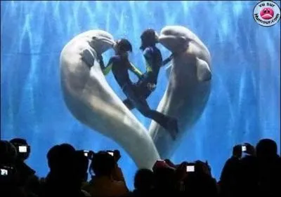 A quel film peut vous faire penser cette photo ?