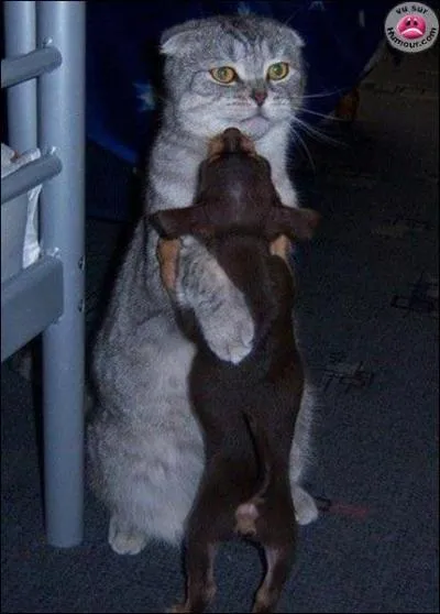 A quel film peut vous faire penser cette photo ?