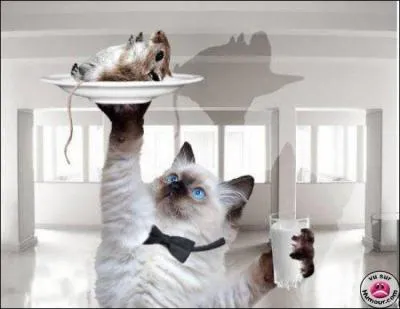 A quel film peut vous faire penser cette photo ?