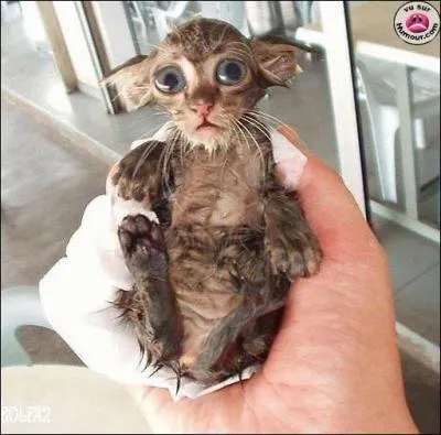 A quel film peut vous faire penser cette photo ?