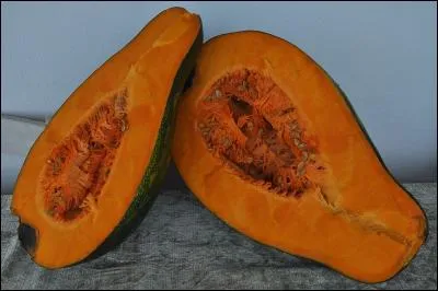 Quel est le nom de cette variété de potiron cultivée dans les Antilles.
En soupe, c'est le symbole d'indépendance à Haïti, en mémoire du jour de la lecture de l'acte de l'indépendance.