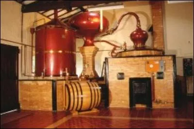 Qu'appelle-t-on le "brouillis" lors de la distillation du cognac ?
(Eh oui, même au singulier il prend un S ! )