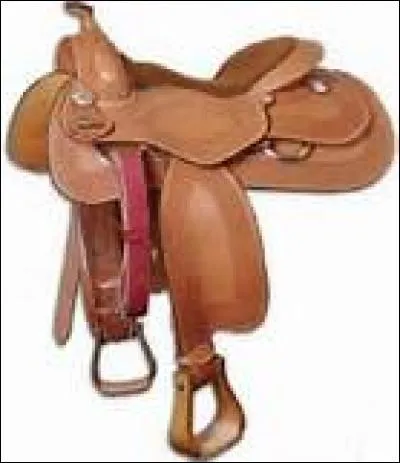 Pour quelle discipline cette selle est-elle plutôt utilisée ?