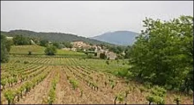 Derrières ces vignes vous avez le village Vauclusien de Saint-Marcellin-lès-Vaison. Il se trouve en région ...