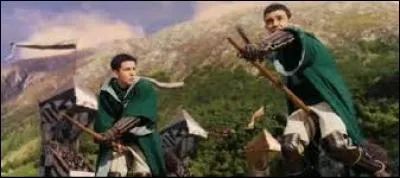 Qui a été capitaine de l'équipe de Serpentard ?