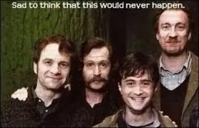 A quelle maison appartenaient Lupin, Sirius et James ?