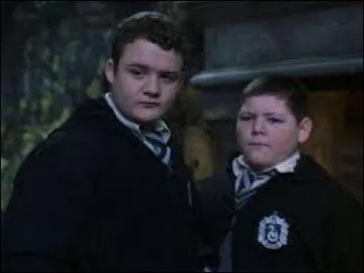 A quelle maison appartiennent Goyle et Crabbe ?