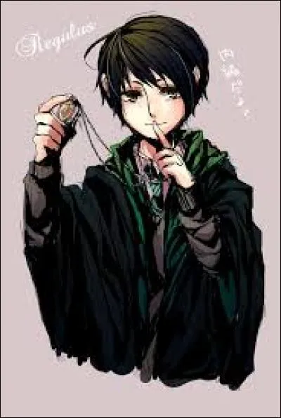 A quelle maison appartenait Regulus Black ?