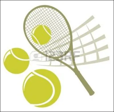 Lequel de ces joueurs de tennis suisse reçut cinq fois de suite le prix Orange, qui récompense le joueur le plus fair-play du circuit international ?