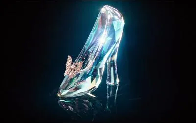 Un peu de sérieux s'il vous plait ! N'oubliez pas que nous sommes là pour mettre les méchants sur une île, alors moi, Cendrillon, la petite étourdie qui perd ses...