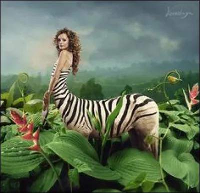 Cet animal est très rare, je compte sur vous pour l'identifier !