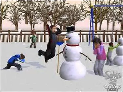 Dans les Sims 2, quand il fait très froid, quel animal apparaît alors sur le terrain de votre sims ?