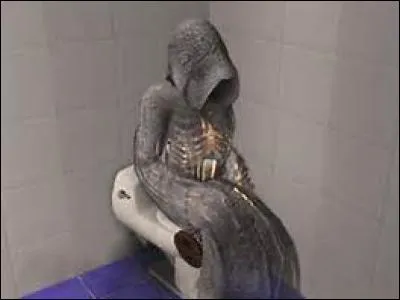 Et enfin une question sur notre meilleure amie : la Faucheuse ! Dans les Sims 3, quelle est la manière la plus efficace d'échapper aux griffes de la Faucheuse ?