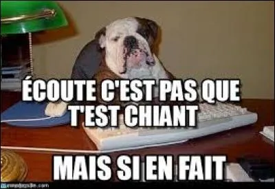 Votre voisin raconte toujours les m&ecirc;mes histoires, sans penser que vous connaissez d&eacute;j&agrave; les r&eacute;ponses. Alors :