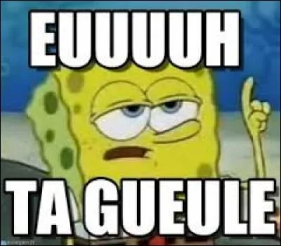 Quelqu'un n'arr&ecirc;te pas de parler de "Secret Story", vous en avez marre... Vous lui dites :