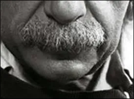 Si je vous dis : "E=mc2" &agrave; qui pensez-vous en regardant la photo ?
