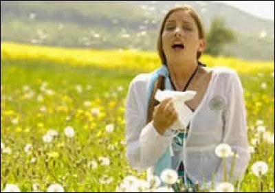 Que peut-on dire des allergies ?