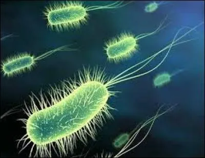 Quand parle-t-on de "contamination" ? Quand se produit-elle ?