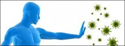 Comment le système immunitaire d'un individu réagit-il ?