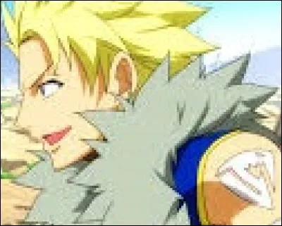 Ils appartiennent tous les deux à une des meilleures guildes, du nom de :