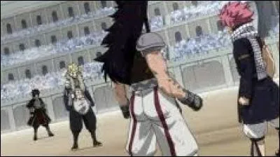 Tous les deux admirent une personne différente, depuis tous petits Sting et Rogue veulent devenir aussi forts que :