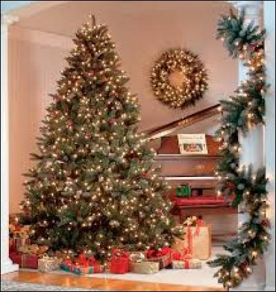 Dans la tradition chrétienne, quand doit-être installé le sapin de Noël ?