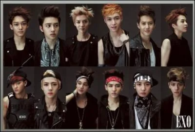 Qui est le maknae des "Exo" ?