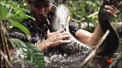 Mon premier est un recueil d'anecdotes, de mon second, un chanteur français précise que quand on l'est, on l'est, mon troisième vous répond par l'affirmative en russe, mon tout a plus d'un tour dans ses anneaux !