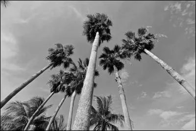 Dans quelle situation est-il ?