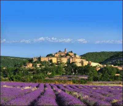 Guillaume Allne est un marin de haute mer, matre de navire, armateur, et avitailleur. Quel tait son surnom ?