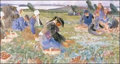 Quel mot vous compliquant la tâche correspond à cette activité ?