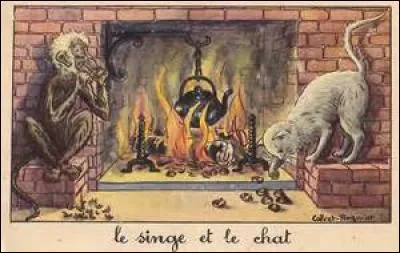 Quel verbe faut-il employer afin qu'il soit en accord avec l'illustration ?