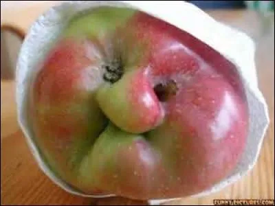 Quel adjectif convient ici à la pomme ?