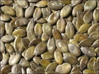 C'est rapide, quelle proposition convient à l'illustration ?