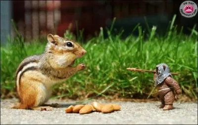 A quel film peut vous faire penser cette photo ?