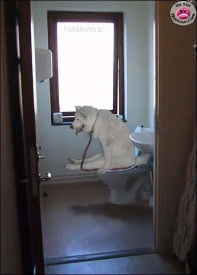 A quel film peut vous faire penser cette photo ?