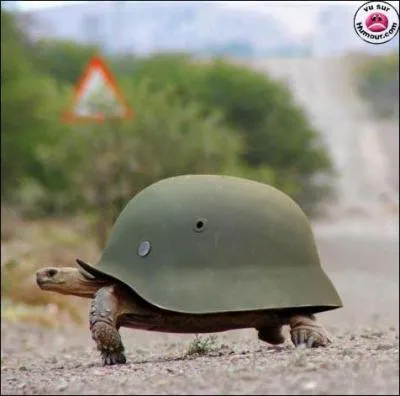 A quel film peut vous faire penser cette photo ?