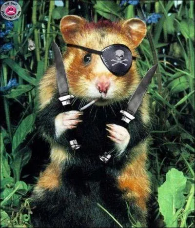 A quel film peut vous faire penser cette photo ?