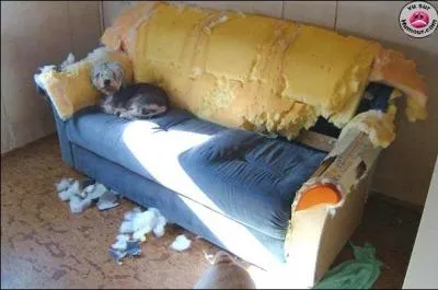 A quel  film peut vous faire penser cette photo ?