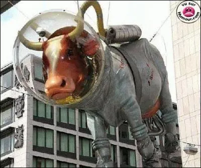 A quel film peut vous faire penser cette photo ?