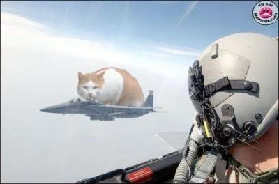 A quel film peut vous faire penser cette photo ?