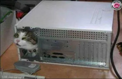 A quel film peut vous faire penser cette photo ?